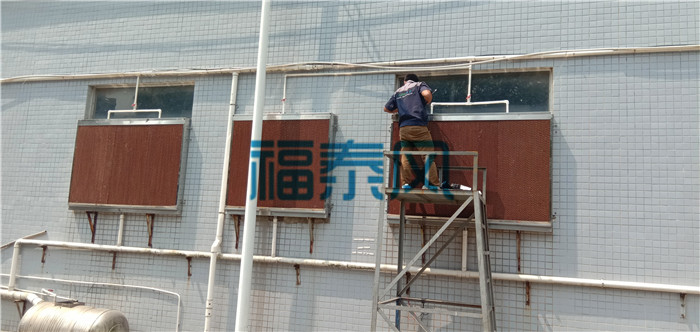 頂樓鐵皮房黄瓜视频IOS下载通風降溫案例
