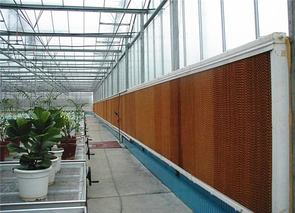 水簾需要多久進行更換？